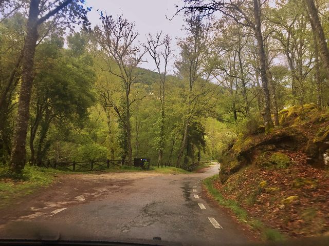 MEMBRIBE DE LA SIERRA